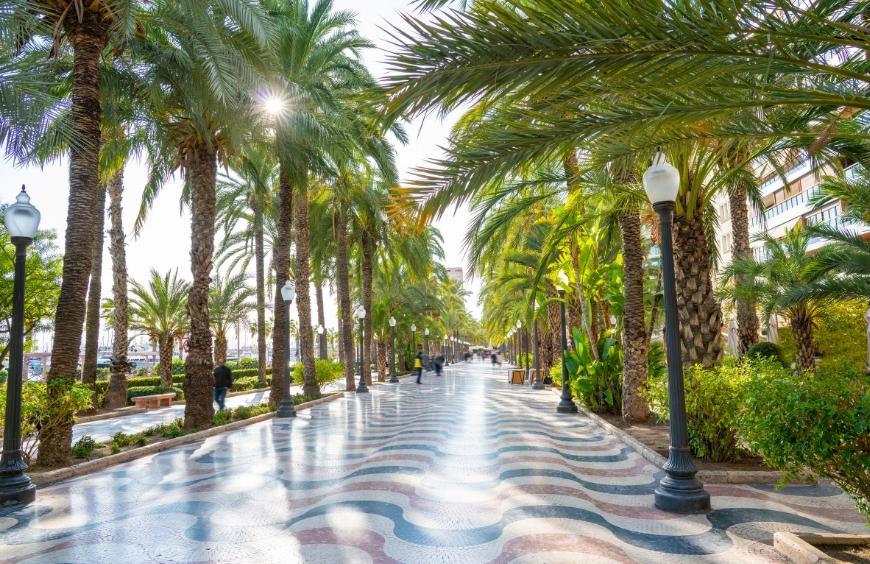 Explanada de España, paseo con mosaico de colores y palmeras. un lugar recomendable para hacer tu pedida de mano en Alicante